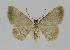  ( - BC EF Alc 00223)  @13 [ ] Copyright (2010) Unspecified Research Collection of Egbert Friedrich