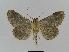  ( - BC EF Alc 00225)  @13 [ ] Copyright (2010) Unspecified Research Collection of Egbert Friedrich