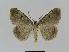  ( - BC EF Alc 00228)  @13 [ ] Copyright (2010) Unspecified Research Collection of Egbert Friedrich