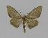  ( - BC EF Alc 00232)  @13 [ ] Copyright (2010) Unspecified Research Collection of Egbert Friedrich