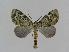  ( - BC EF Alc 00234)  @14 [ ] Copyright (2010) Unspecified Research Collection of Egbert Friedrich