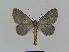  ( - BC EF Alc 00234)  @13 [ ] Copyright (2010) Unspecified Research Collection of Egbert Friedrich