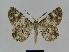 ( - BC EF Alc 00256)  @13 [ ] Copyright (2010) Unspecified Research Collection of Egbert Friedrich