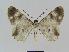  ( - BC EF Alc 00256)  @12 [ ] Copyright (2010) Unspecified Research Collection of Egbert Friedrich