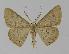 ( - BC EF Alc 00260)  @13 [ ] Copyright (2010) Unspecified Research Collection of Egbert Friedrich