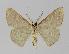  ( - BC EF Alc 00260)  @13 [ ] Copyright (2010) Unspecified Research Collection of Egbert Friedrich