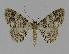  ( - BC EF Alc 00269)  @14 [ ] Copyright (2010) Unspecified Research Collection of Egbert Friedrich