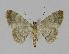  ( - BC EF Alc 00269)  @13 [ ] Copyright (2010) Unspecified Research Collection of Egbert Friedrich
