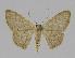  ( - BC EF Alc 00271)  @13 [ ] Copyright (2010) Unspecified Research Collection of Egbert Friedrich