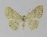  ( - BC EF Alc 00276)  @14 [ ] Copyright (2010) Unspecified Research Collection of Egbert Friedrich