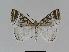  ( - BC EF Alc 00278)  @13 [ ] Copyright (2010) Unspecified Research Collection of Egbert Friedrich