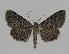  ( - BC EF Alc 00279)  @14 [ ] Copyright (2010) Unspecified Research Collection of Egbert Friedrich