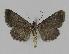  ( - BC EF Alc 00279)  @12 [ ] Copyright (2010) Unspecified Research Collection of Egbert Friedrich