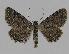  ( - BC EF Alc 00286)  @14 [ ] Copyright (2010) Unspecified Research Collection of Egbert Friedrich