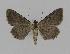  ( - BC EF Alc 00286)  @12 [ ] Copyright (2010) Unspecified Research Collection of Egbert Friedrich