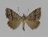  ( - BC EF Alc 00294)  @13 [ ] Copyright (2010) Unspecified Research Collection of Egbert Friedrich