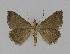  ( - BC EF Alc 00294)  @13 [ ] Copyright (2010) Unspecified Research Collection of Egbert Friedrich