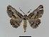  ( - BC EF Alc 00300)  @13 [ ] Copyright (2010) Unspecified Research Collection of Egbert Friedrich