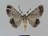  ( - BC EF Alc 00300)  @13 [ ] Copyright (2010) Unspecified Research Collection of Egbert Friedrich