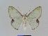  ( - BC EF Alc 00301)  @12 [ ] Copyright (2010) Unspecified Research Collection of Egbert Friedrich