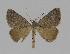  ( - BC EF Alc 00317)  @13 [ ] Copyright (2010) Unspecified Research Collection of Egbert Friedrich