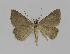  ( - BC EF Alc 00317)  @13 [ ] Copyright (2010) Unspecified Research Collection of Egbert Friedrich