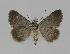  ( - BC EF Alc 00321)  @13 [ ] Copyright (2010) Unspecified Research Collection of Egbert Friedrich