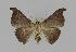  ( - BC EF Alc 00339)  @12 [ ] Copyright (2010) Unspecified Research Collection of Egbert Friedrich