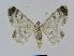  ( - BC EF Alc 00341)  @13 [ ] Copyright (2010) Unspecified Research Collection of Egbert Friedrich
