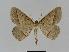  ( - BC EF Alc 00345)  @14 [ ] Copyright (2010) Unspecified Research Collection of Egbert Friedrich