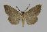  ( - BC EF Alc 00349)  @13 [ ] Copyright (2010) Unspecified Research Collection of Egbert Friedrich