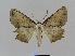  ( - BC EF Alc 00351)  @14 [ ] Copyright (2010) Unspecified Research Collection of Egbert Friedrich