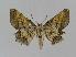  ( - BC EF Alc 00351)  @13 [ ] Copyright (2010) Unspecified Research Collection of Egbert Friedrich