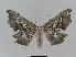  ( - BC EF Alc 00352)  @14 [ ] Copyright (2010) Unspecified Research Collection of Egbert Friedrich