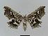  ( - BC EF Alc 00352)  @13 [ ] Copyright (2010) Unspecified Research Collection of Egbert Friedrich