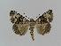  ( - BC EF Alc 00366)  @14 [ ] Copyright (2010) Unspecified Research Collection of Egbert Friedrich