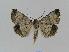  ( - BC EF Alc 00366)  @14 [ ] Copyright (2010) Unspecified Research Collection of Egbert Friedrich
