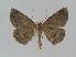  ( - BC EF Alc 00369)  @13 [ ] Copyright (2010) Unspecified Research Collection of Egbert Friedrich