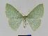  ( - BC EF Alc 00370)  @14 [ ] Copyright (2010) Unspecified Research Collection of Egbert Friedrich