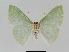  ( - BC EF Alc 00370)  @13 [ ] Copyright (2010) Unspecified Research Collection of Egbert Friedrich