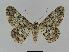  ( - BC EF Alc 00371)  @14 [ ] Copyright (2010) Unspecified Research Collection of Egbert Friedrich