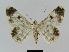  ( - BC EF Alc 00371)  @13 [ ] Copyright (2010) Unspecified Research Collection of Egbert Friedrich