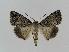  ( - BC EF Alc 00379)  @14 [ ] Copyright (2010) Unspecified Research Collection of Egbert Friedrich