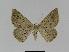  ( - BC EF Alc 00380)  @13 [ ] Copyright (2010) Unspecified Research Collection of Egbert Friedrich