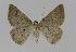 ( - BC EF Alc 00380)  @13 [ ] Copyright (2010) Unspecified Research Collection of Egbert Friedrich