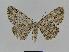  ( - BC EF Alc 00385)  @13 [ ] Copyright (2010) Unspecified Research Collection of Egbert Friedrich