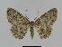  ( - BC EF Alc 00394)  @14 [ ] Copyright (2010) Unspecified Research Collection of Egbert Friedrich