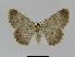  ( - BC EF Alc 00394)  @13 [ ] Copyright (2010) Unspecified Research Collection of Egbert Friedrich
