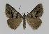  ( - BC EF Alc 00396)  @13 [ ] Copyright (2010) Unspecified Research Collection of Egbert Friedrich