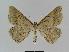  ( - BC EF Alc 00398)  @13 [ ] Copyright (2010) Unspecified Research Collection of Egbert Friedrich